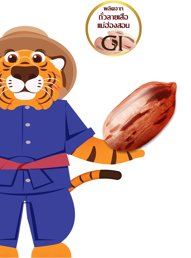 ผลิตจากถั่วลายเสือ แม่ฮ่องสอน GI