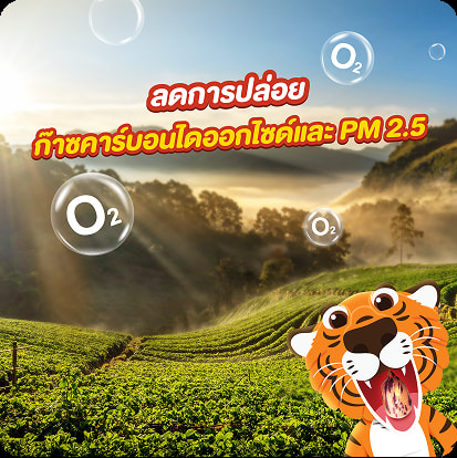 Taokaenoi Wow nut ถั่วลายเสือคั่ว