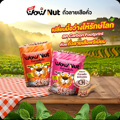 Taokaenoi Wow nut ถั่วลายเสือคั่ว
